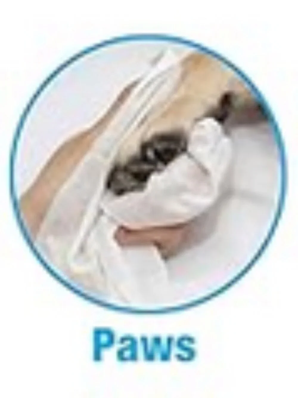 2 NEW packages of Spike & Stella Unscented XL Grooming Wipes,Total of 220 Wipes